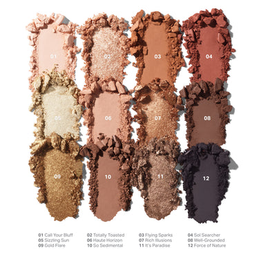 morphe succulent palette Morphe ChromaPlus 12-Pan Eyeshadow Palette