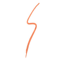 Always Online Gel Liner + Sharpener - Spicy Thing-view-3
