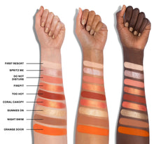 18H Heatseeker Artistry Palette - Arm Swatch 1-view-6